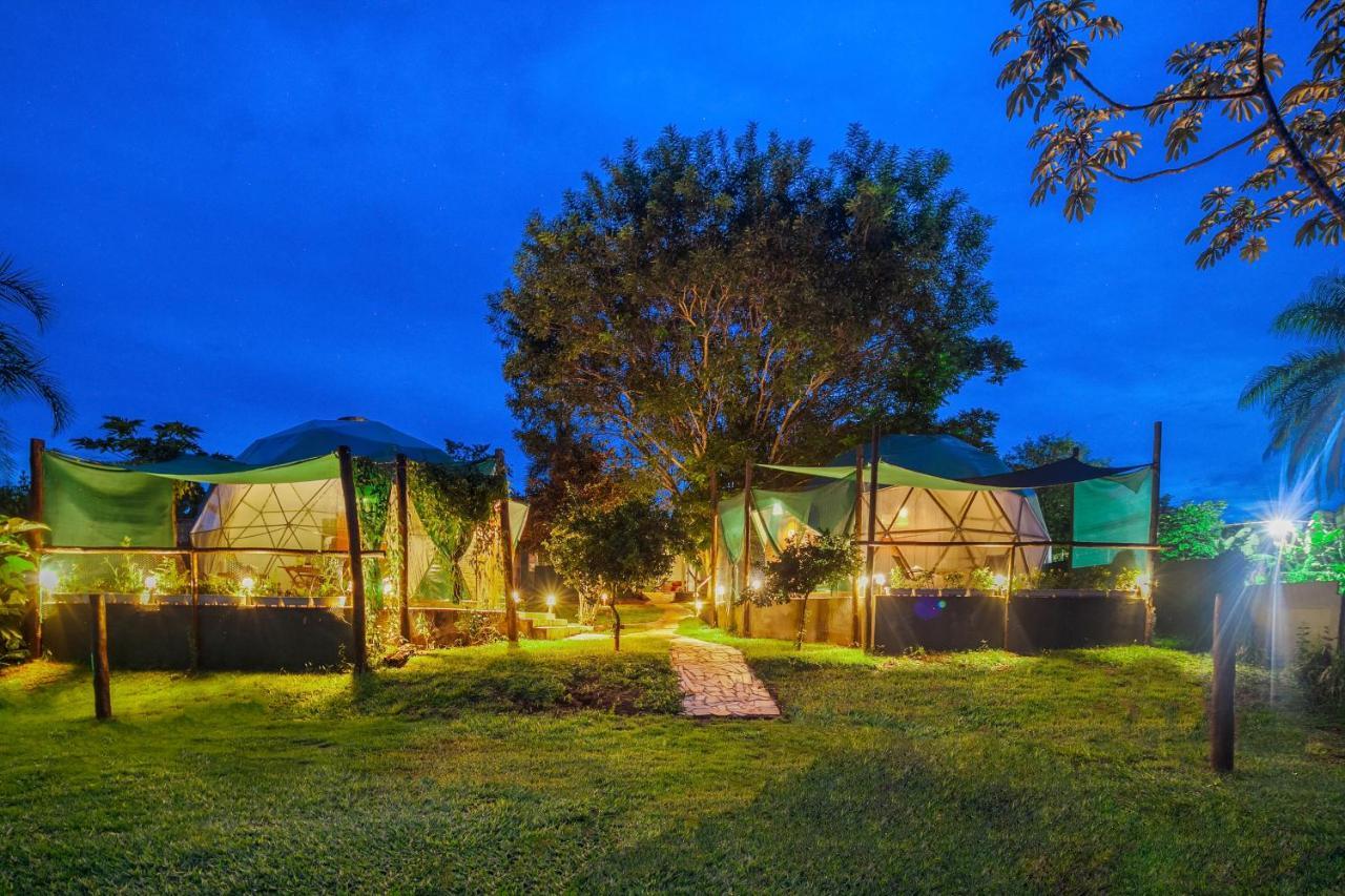 Glamping Serra Da Canastra - Casinha De Hortela - Domo Embauba Delfinópolis Eksteriør billede